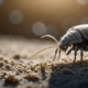 Foods to Avoid with Dust Mite Allergy - A Comprehensive Guide